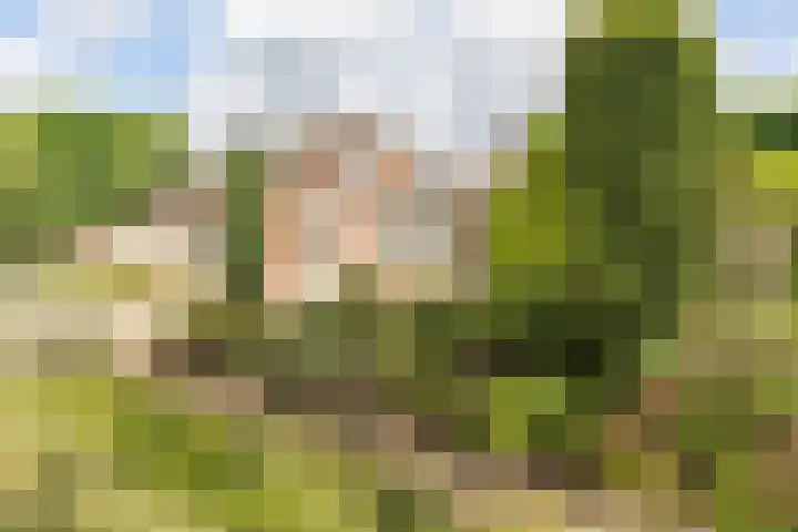 Verhuizensestraat 1 a Ingen thumbnail 7