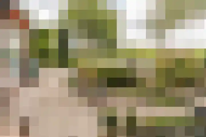 Verhuizensestraat 1 a Ingen thumbnail 9
