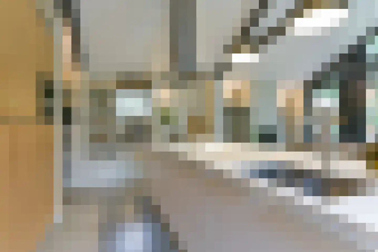Verhulstlaan 13 Bilthoven thumbnail 10
