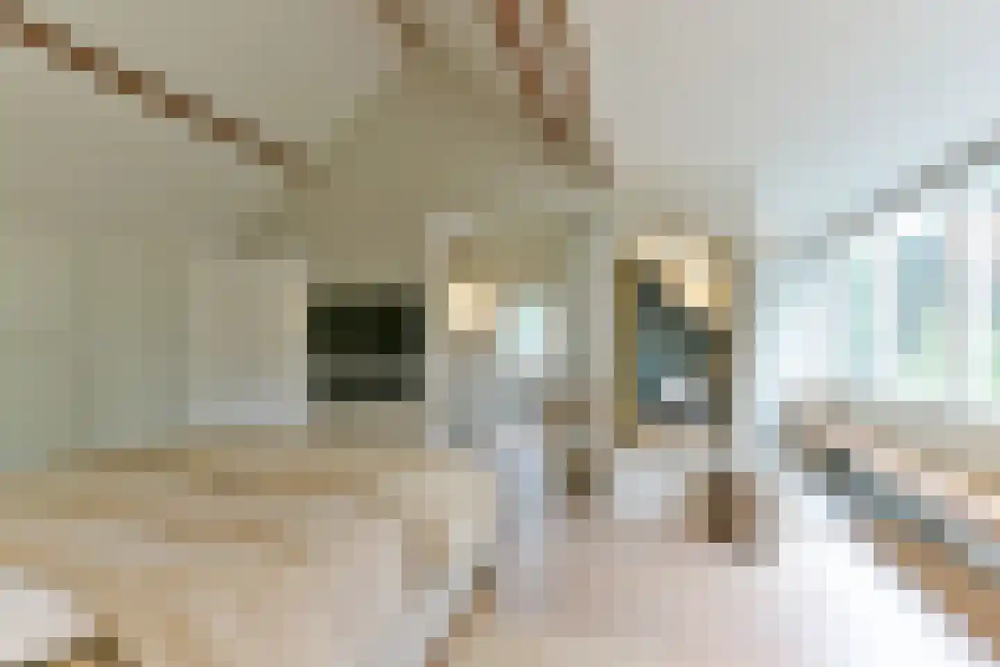 Verhulstlaan 13 Bilthoven thumbnail 39