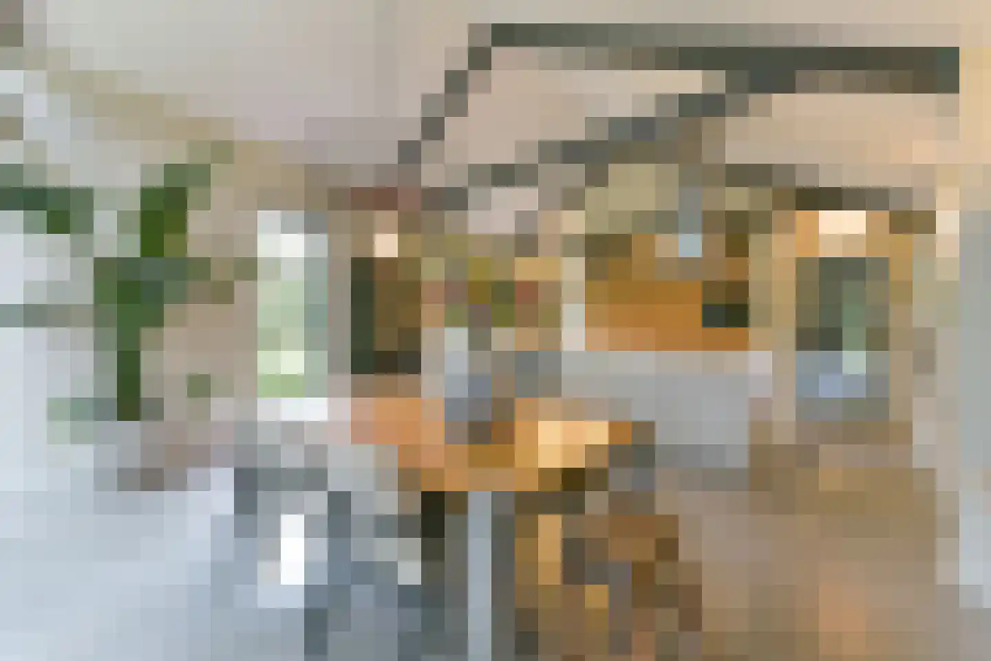 Verhulstlaan 13 Bilthoven thumbnail 4