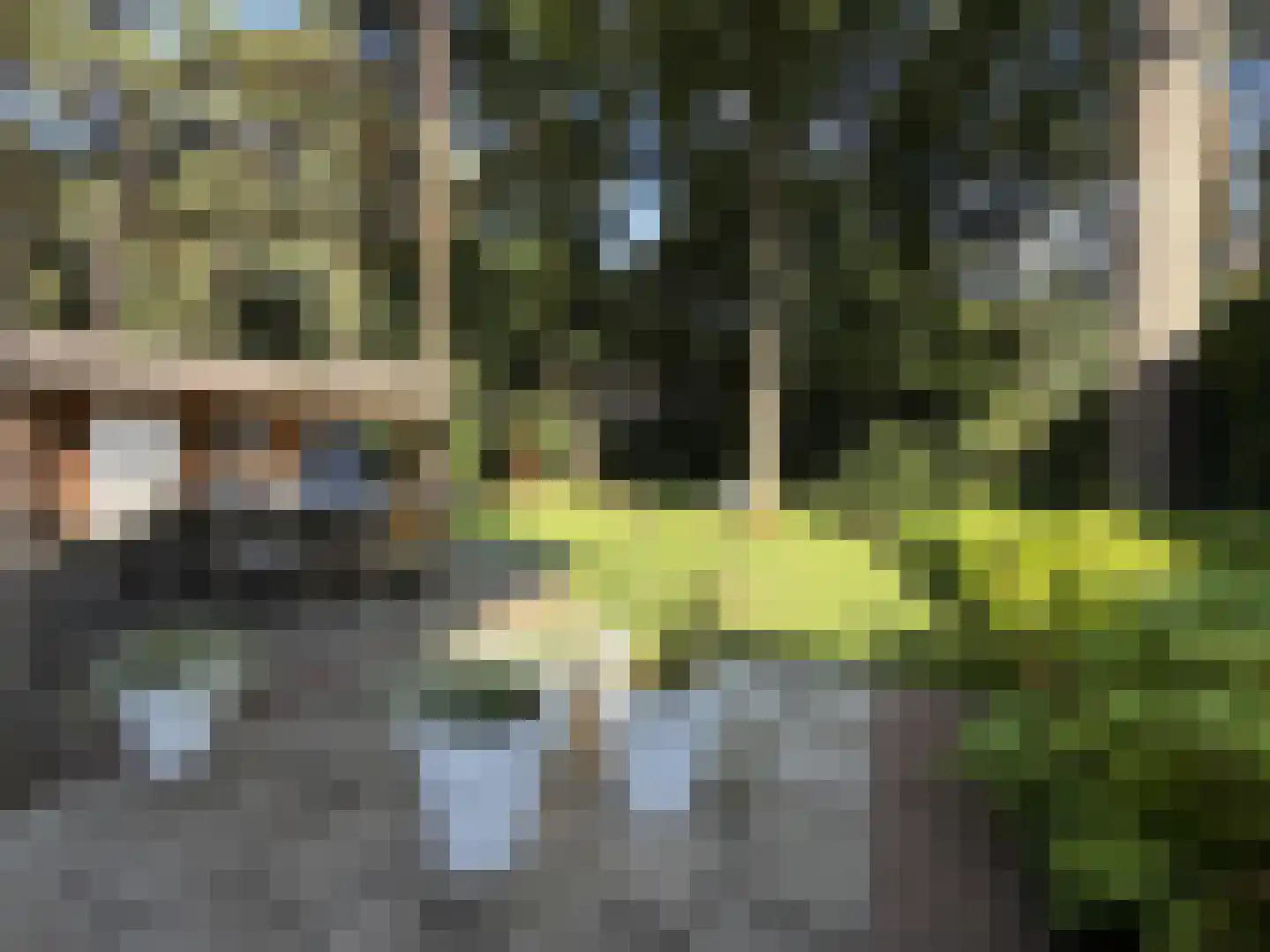 Verhulstlaan 13 Bilthoven thumbnail 48