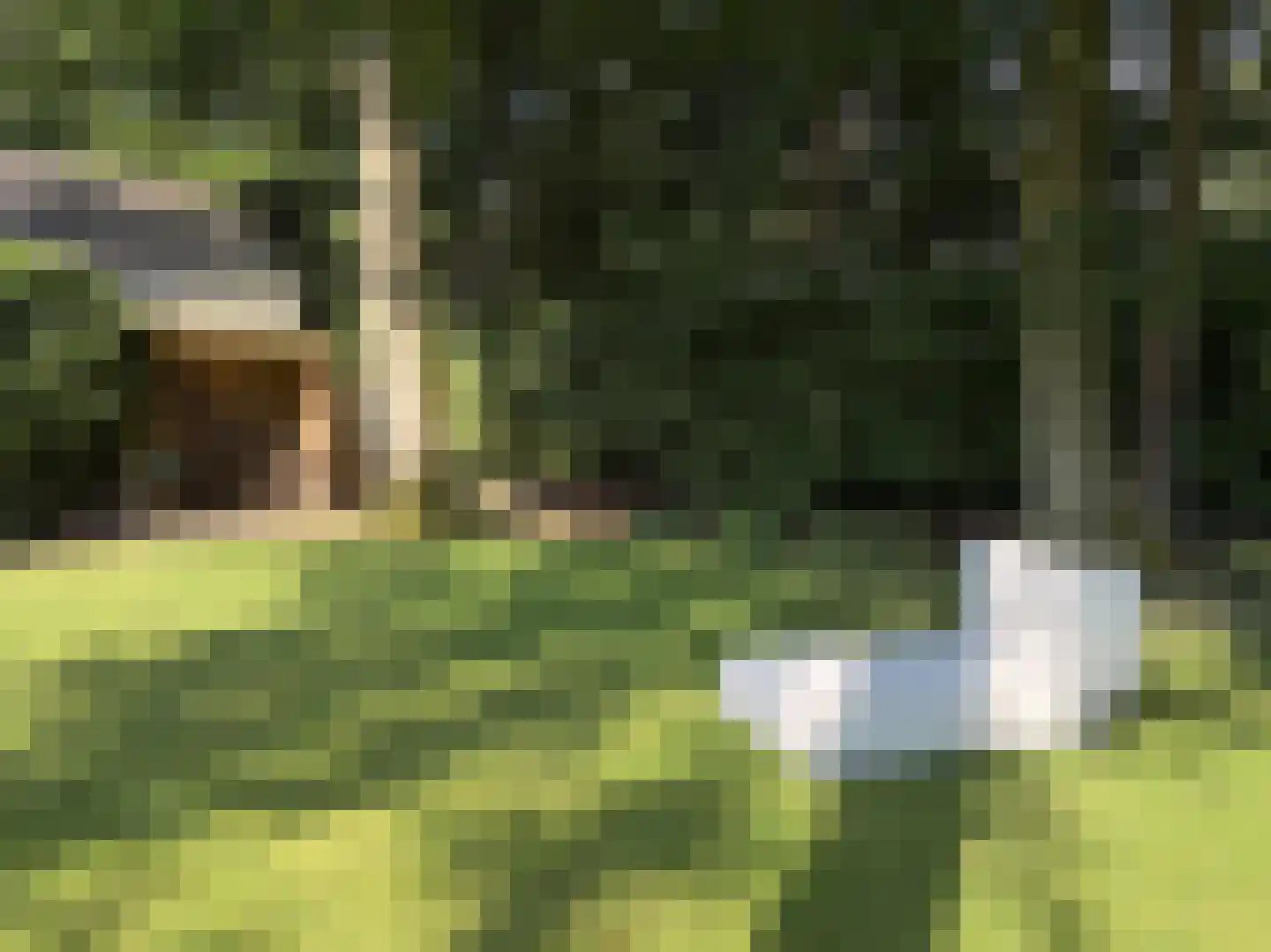 Verhulstlaan 13 Bilthoven thumbnail 51