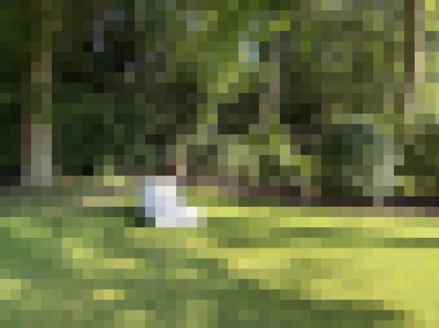 Verhulstlaan 13 Bilthoven thumbnail 52