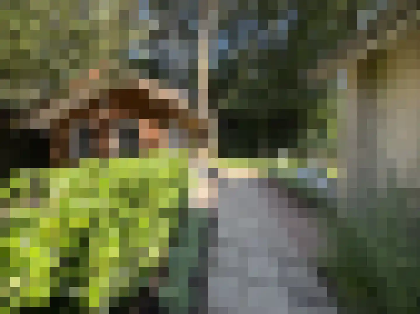 Verhulstlaan 13 Bilthoven thumbnail 53