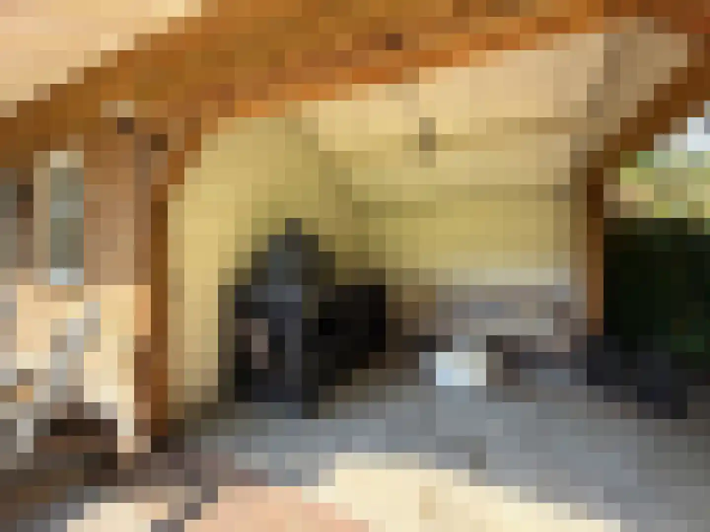 Verhulstlaan 13 Bilthoven thumbnail 54