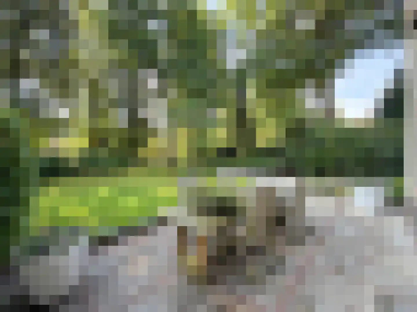Verhulstlaan 13 Bilthoven thumbnail 57