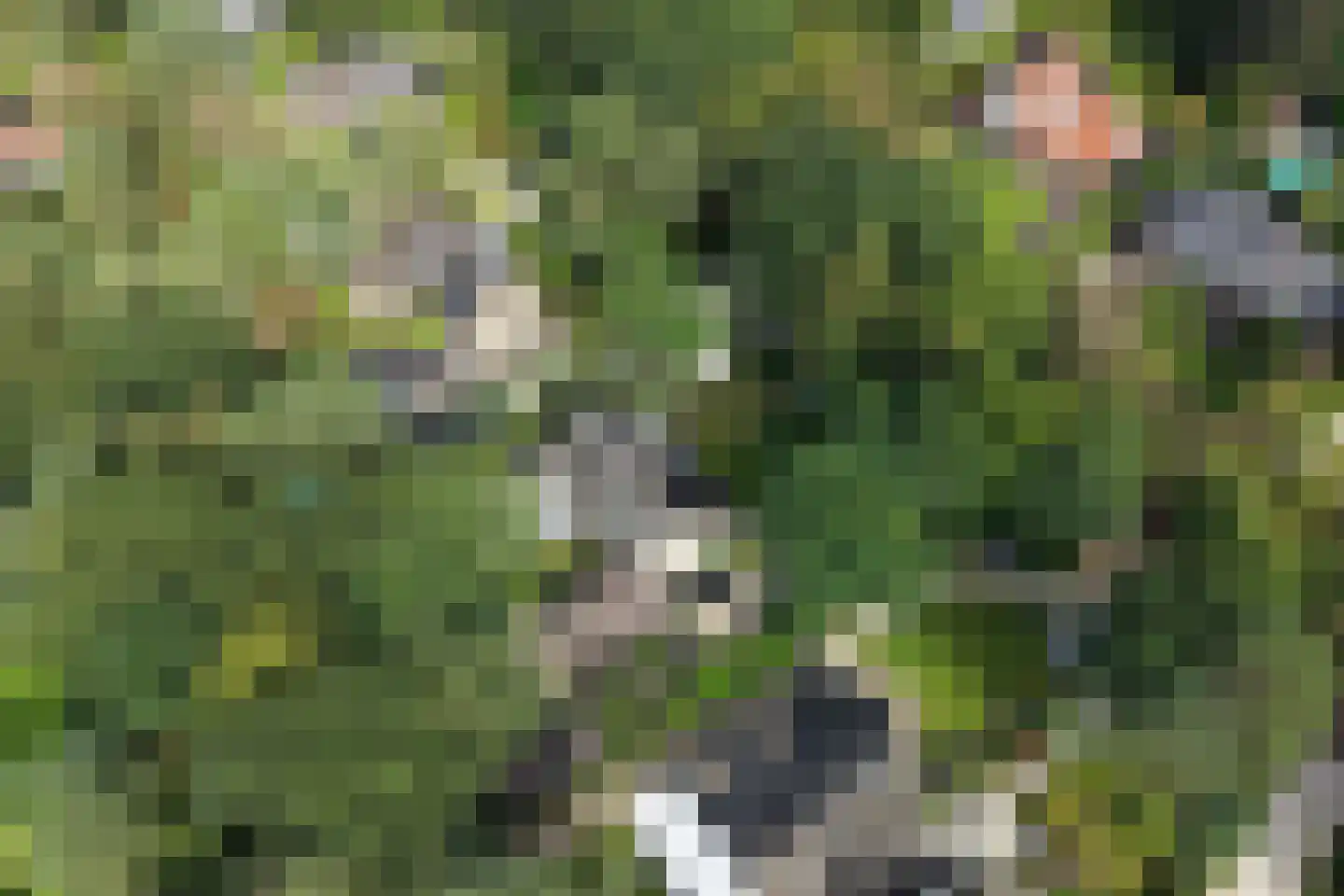 Verhulstlaan 13 Bilthoven thumbnail 70