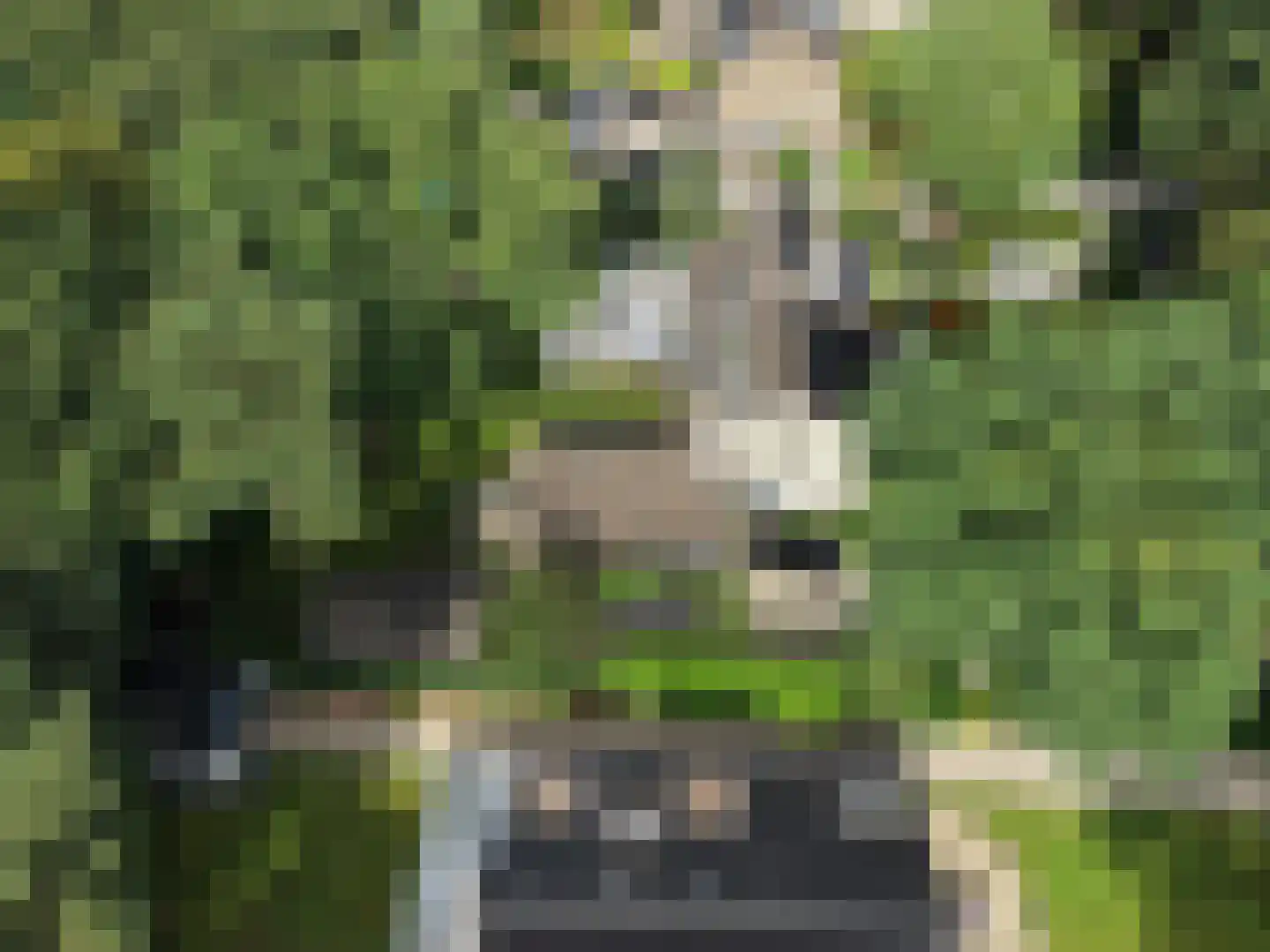 Verhulstlaan 13 Bilthoven thumbnail 71