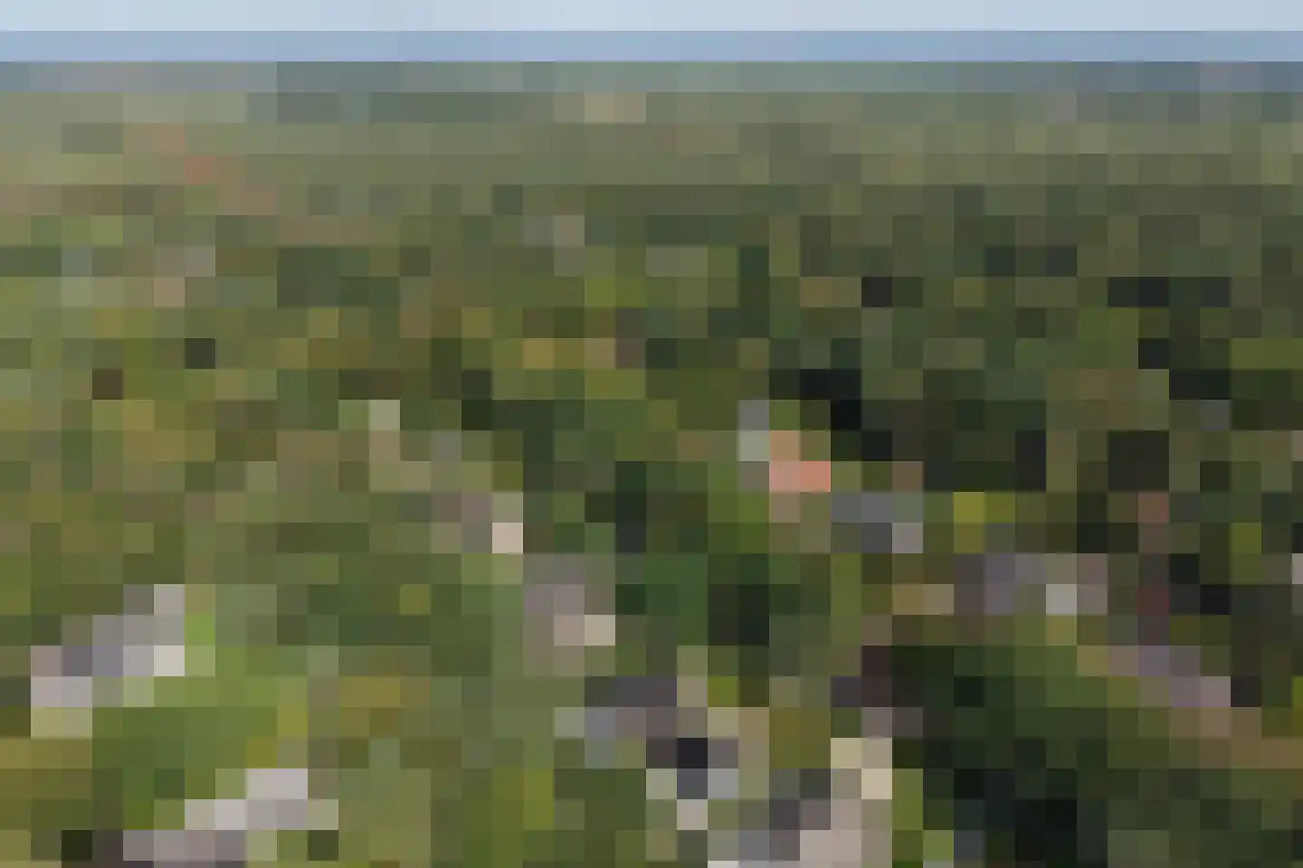 Verhulstlaan 13 Bilthoven thumbnail 72