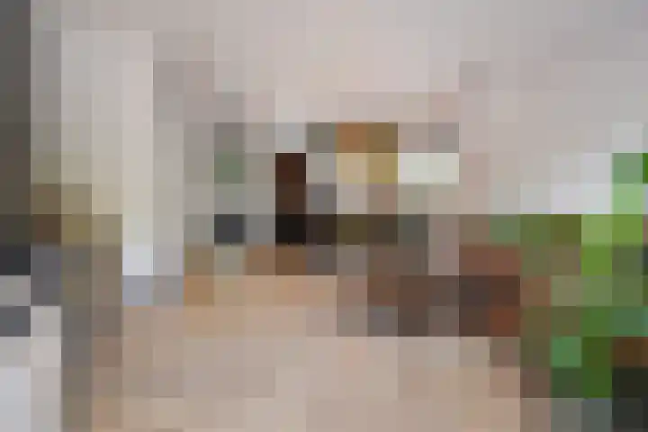 Verhulstlaan 19 's-Gravenzande thumbnail 10