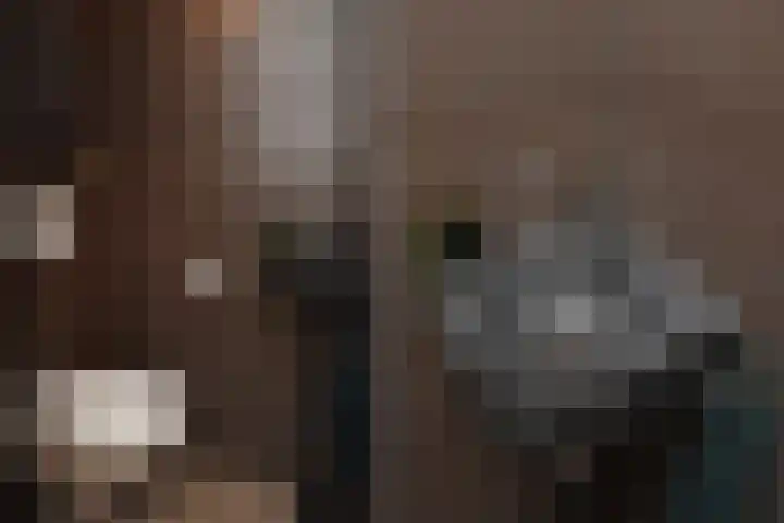 Verhulstlaan 19 's-Gravenzande thumbnail 13