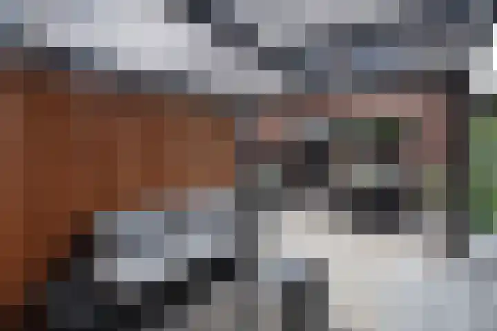 Verhulstlaan 19 's-Gravenzande thumbnail 17