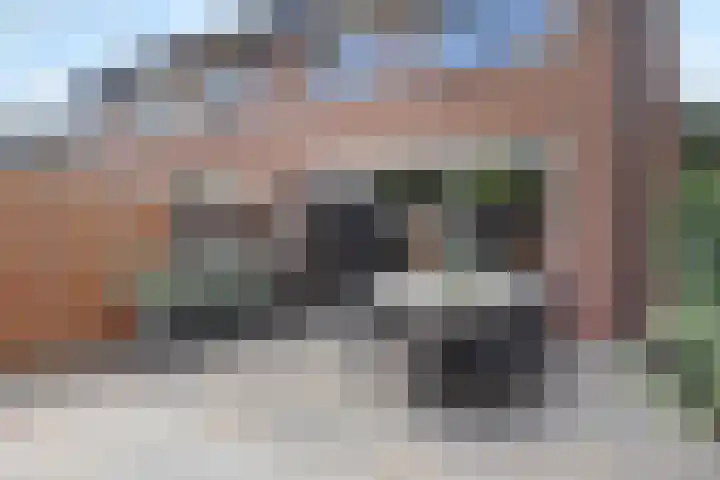 Verhulstlaan 19 's-Gravenzande thumbnail 18