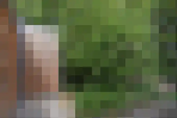 Verhulstlaan 19 's-Gravenzande thumbnail 19