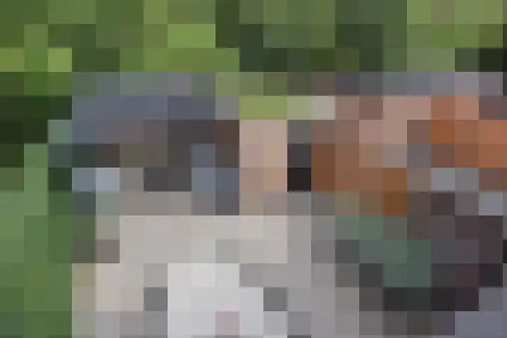 Verhulstlaan 19 's-Gravenzande thumbnail 32