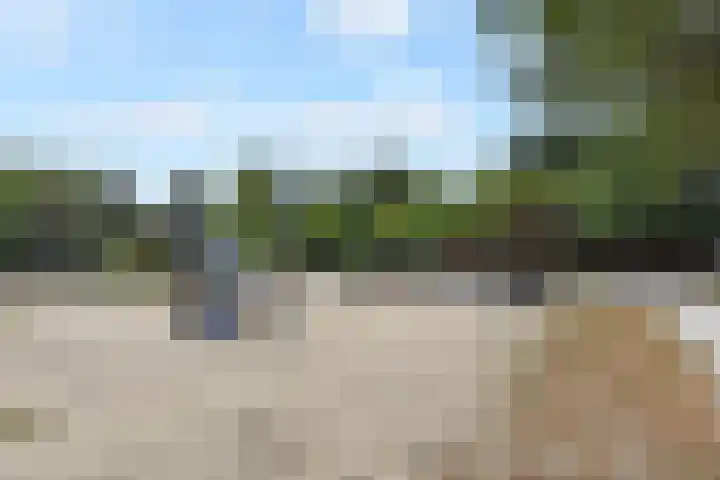 Verhulstlaan 19 's-Gravenzande thumbnail 38