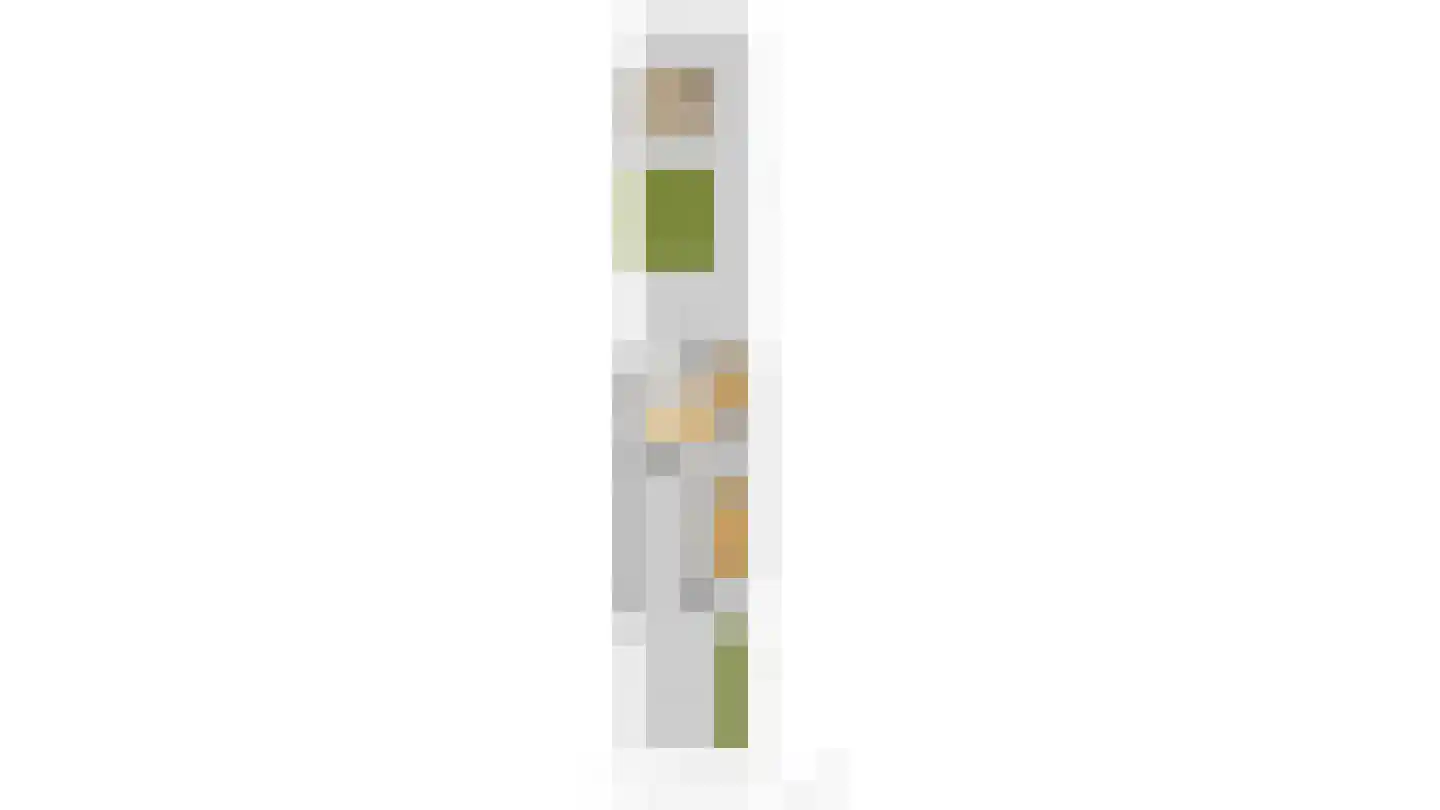 Verhulstlaan 232 Tilburg thumbnail 30
