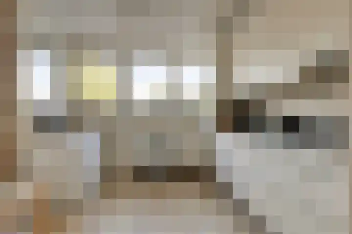 Verhulstlaan 242 Tilburg thumbnail 10