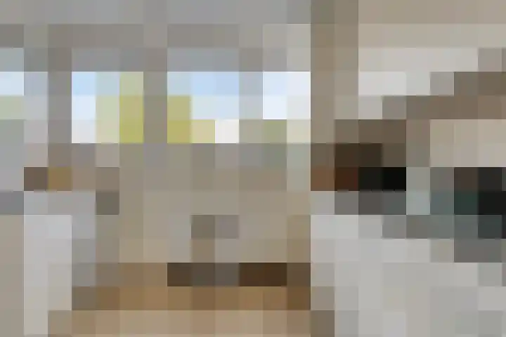 Verhulstlaan 242 Tilburg thumbnail 11