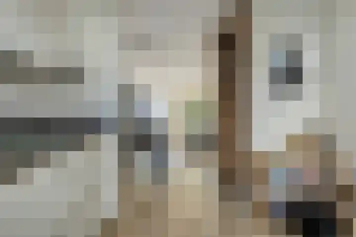 Verhulstlaan 242 Tilburg thumbnail 12