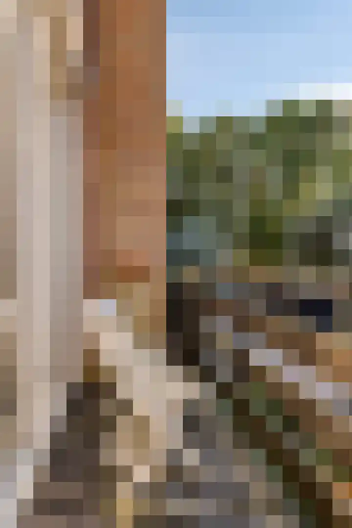 Verhulstlaan 242 Tilburg thumbnail 13