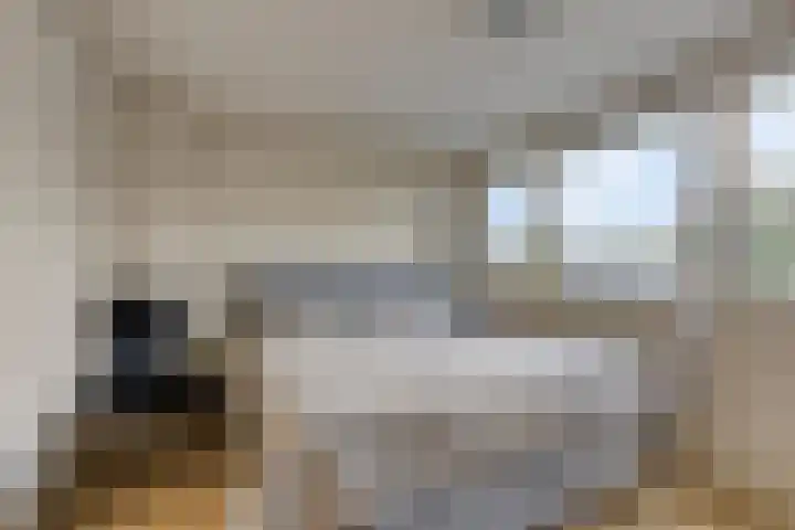 Verhulstlaan 242 Tilburg thumbnail 16