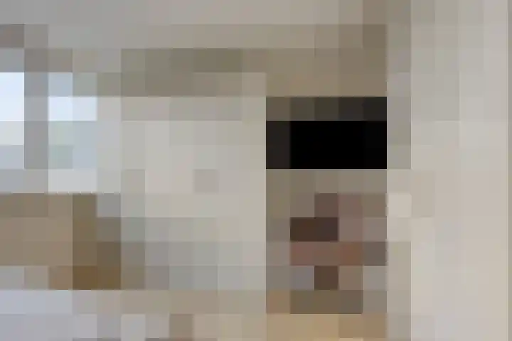Verhulstlaan 242 Tilburg thumbnail 17
