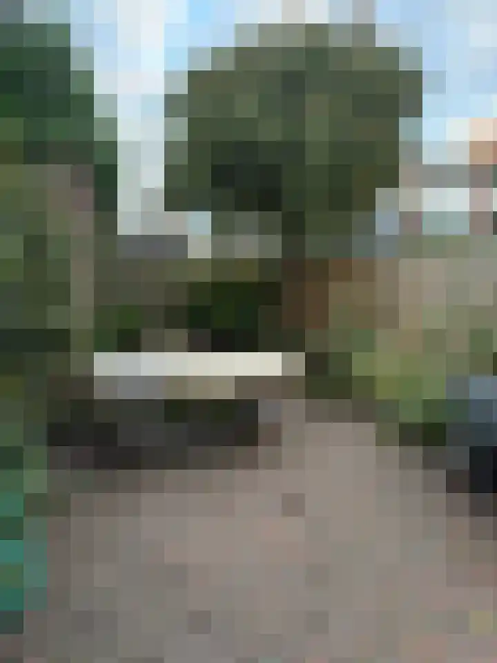 Verhulstlaan 242 Tilburg thumbnail 24