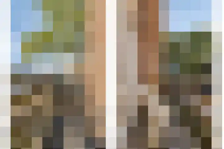 Verhulstlaan 242 Tilburg thumbnail 28