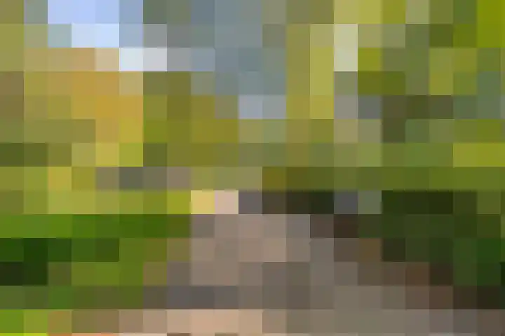 Verhulstlaan 242 Tilburg thumbnail 31