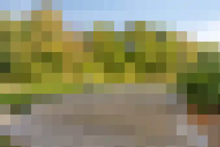 Verhulstlaan 242 Tilburg thumbnail 32