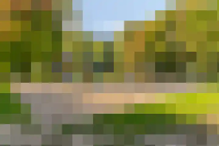 Verhulstlaan 242 Tilburg thumbnail 33