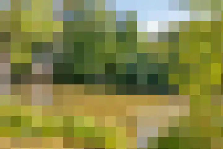 Verhulstlaan 242 Tilburg thumbnail 34