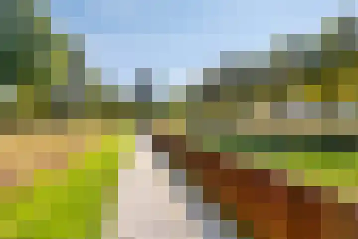 Verhulstlaan 242 Tilburg thumbnail 35