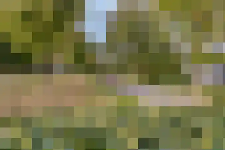 Verhulstlaan 242 Tilburg thumbnail 36