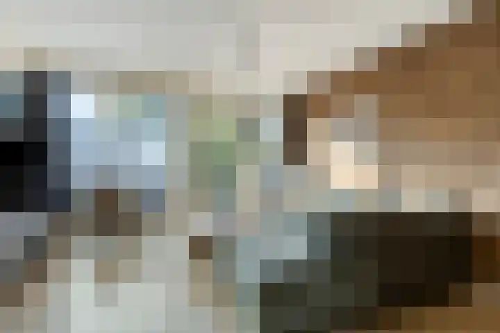 Verhulstlaan 242 Tilburg thumbnail 5