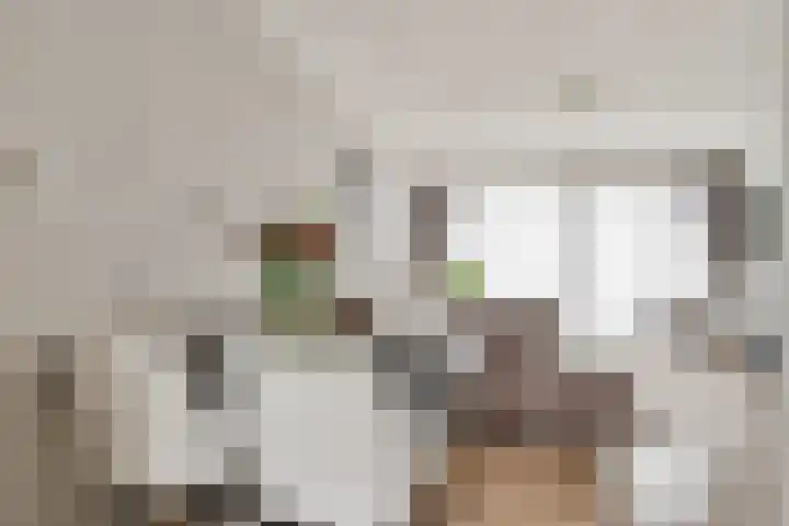 Verhulstlaan 246 Tilburg thumbnail 10