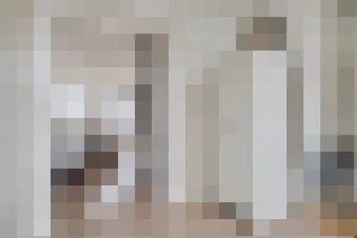 Verhulstlaan 246 Tilburg thumbnail 16