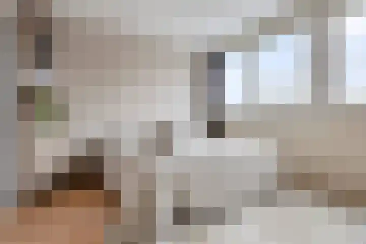 Verhulstlaan 246 Tilburg thumbnail 19