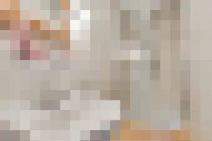 Verhulstlaan 246 Tilburg thumbnail 21