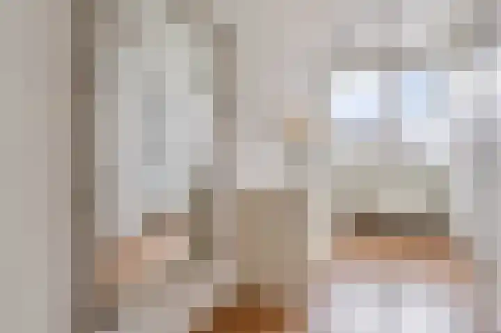 Verhulstlaan 246 Tilburg thumbnail 25