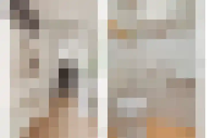 Verhulstlaan 246 Tilburg thumbnail 4