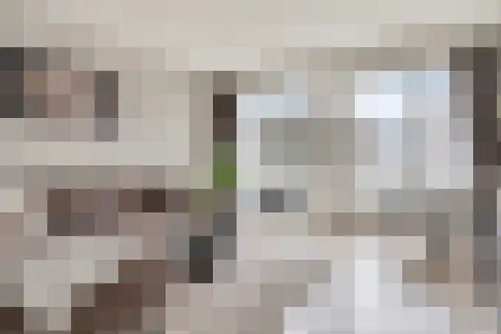 Verhulstlaan 246 Tilburg thumbnail 5