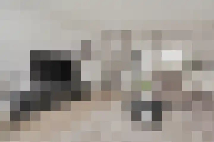 Verhulstlaan 246 Tilburg thumbnail 7