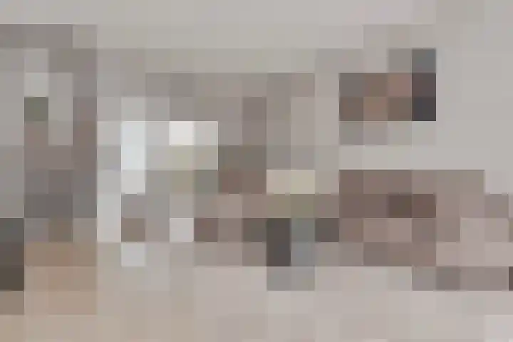 Verhulstlaan 246 Tilburg thumbnail 8