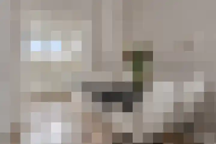 Verhulstlaan 246 Tilburg thumbnail 9