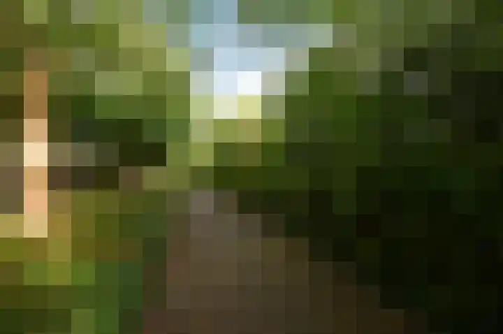 Verhulstlaan 9 's-Gravenzande thumbnail 33