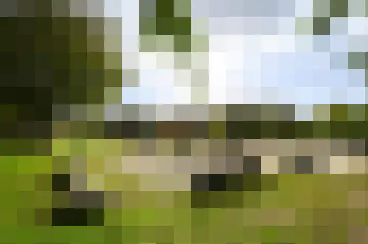 Verhulstlaan 9 's-Gravenzande thumbnail 34