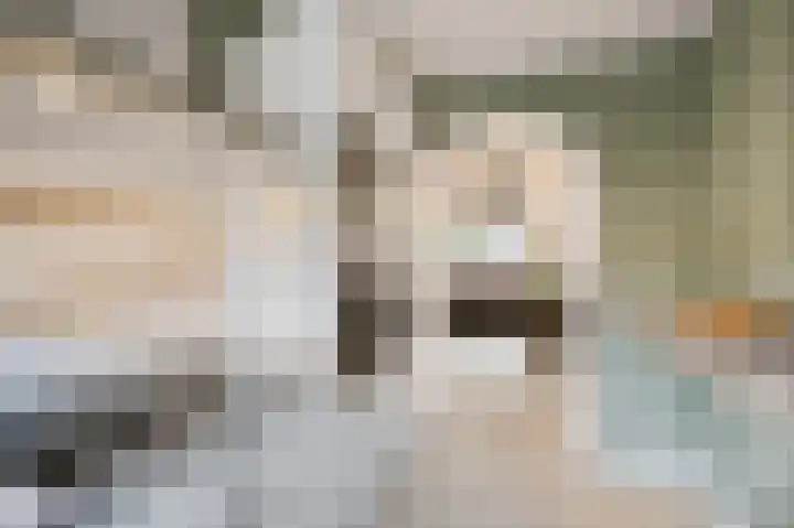 Verhulstlaan 9 's-Gravenzande thumbnail 9
